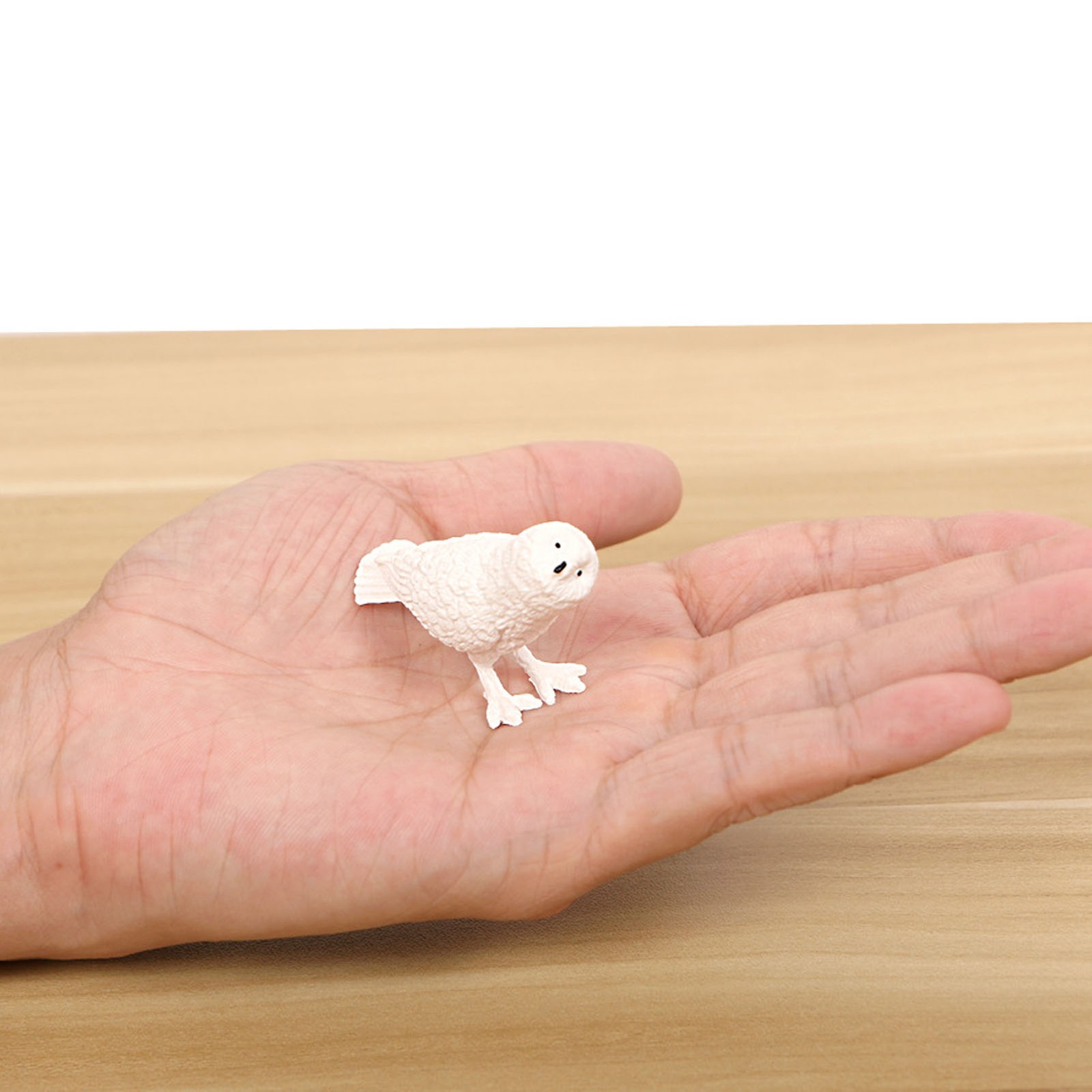 10Pcs Mini Birds Figures Different Styles Vivid Colors Lifelike Details Miniatur