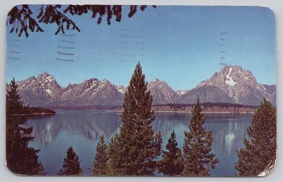 Jackson Lake Teton Range Wyoming WY Vintage Postcard 1952 Posted