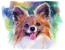 artav Papillon Art Print of Original Pastel PaintgArt