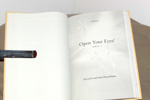 I Saw the Lord : A Wake-up Call for Your Heart, Anne Graham Lotz 2006 240 pgs - Picture 5 of 7