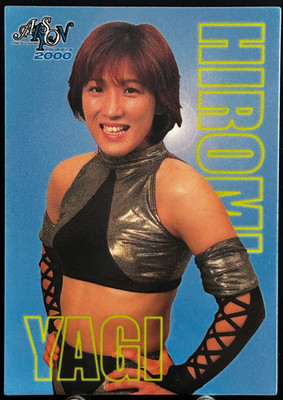 Hiromi Yagi 2000 Arsion Hyper Visual Fighting Pro Wrestling Special Insert #SP10