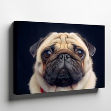Cute pug dog portrait canvas wall art animal print pet lover home decoration