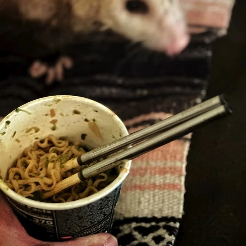 Outdoor Element Omni-Tensil Camping Utensils Cutlery Spoon, Fork. & Chopsticks - Image 4 of 4