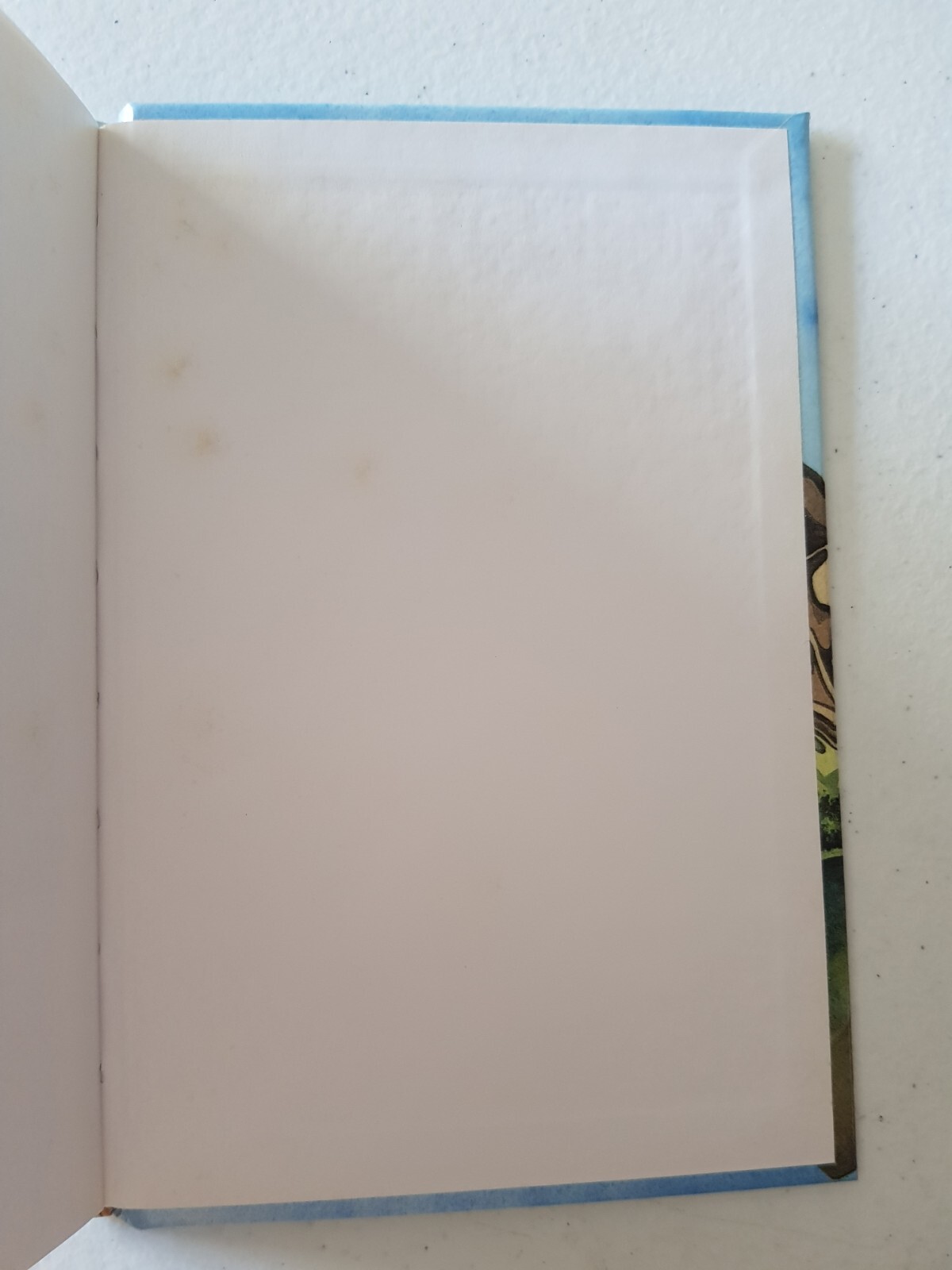 Bild 4 von 4