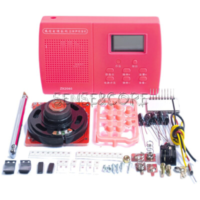 Programming Digital Stereo Radio Kit Electronic Skill Teaching Practice DIY Part