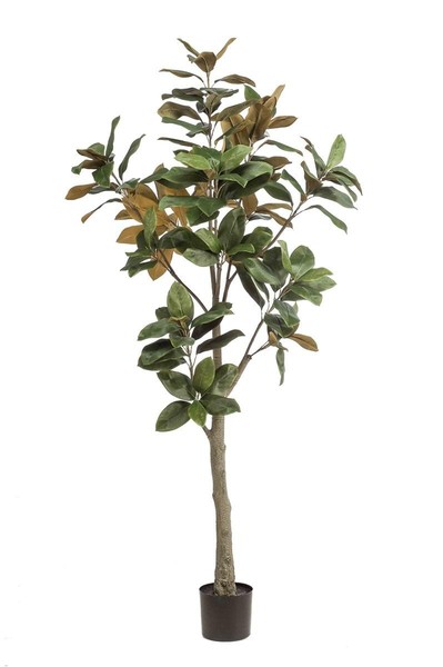 Artplants Deko Yulan-Magnolie Bellita, Dekostamm, GrüN-Olive, 180Cm-image