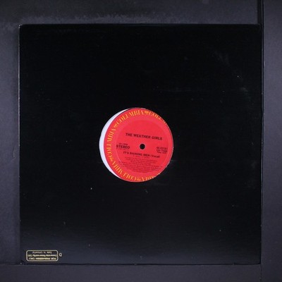 WEATHER GIRLS: it's raining men / instro COLUMBIA 12'' Single 33 RPM