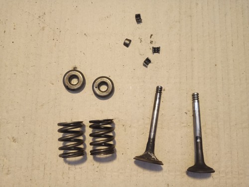 VW T4 - 1.9 Diesel 60 PS 2x Ventil Zylinderkopf Einlass + Auslass