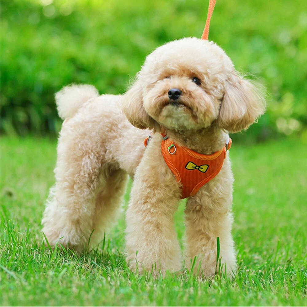 Dog Harness and Leash Set for Dogs Breathable Puppy Cats Harness Soft Warm Vest