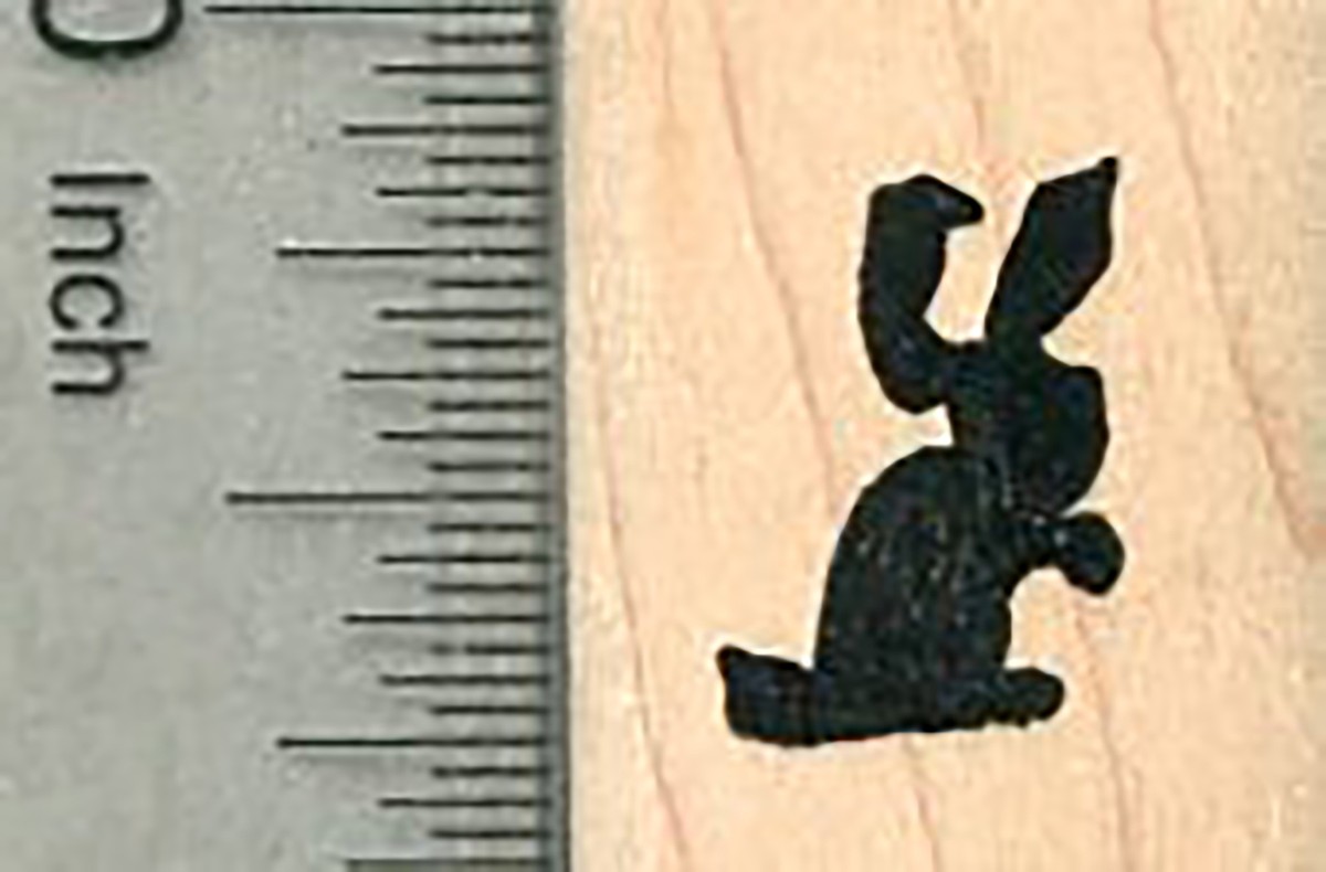 y⭐︎Rabbit il_1080xN.5709130514_8m28.jpg