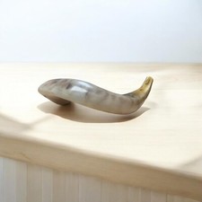 Kosher Polished Ram's Horn Shofar from Israel Jerusalem 10  - 12  / 25 cm - 30 cm