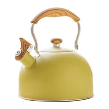 Stove Top Whistling Fancy Tea Kettle Retro 2.5L Stainless Steel Tea Kettle
