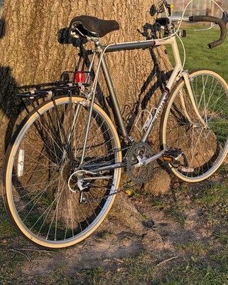 Vintage Giant RS920 Road Bike 36 in Suntour Accushift 10-Speed | eBay
