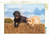 Calvendo Puzzle After The Rain | 1000 Pieces, Finished Size 25.2 × 18.9 In (64 ×