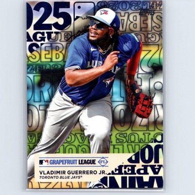 2025 Topps Vladimir Guerrero Jr. #TG-7 Training Grounds Toronto Blue Jays