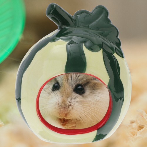 Nid de couchage pour animaux de compagnie accessoires tendance pour enclos pour hamster habitat