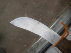 Bild 11 von 11