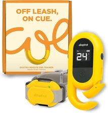 Dogtra E-Collar CUE from IQ Series Remote Dog Training Collar Rechargeable NEW !