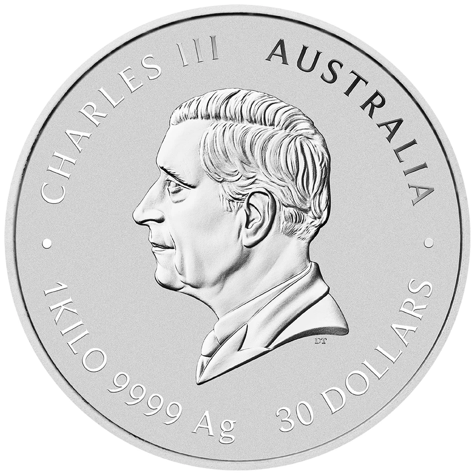 Silbermünze 1kg Jahr der Schlange Lunar III. (6.) 2025 - Australien - ST - Bild 3 von 3