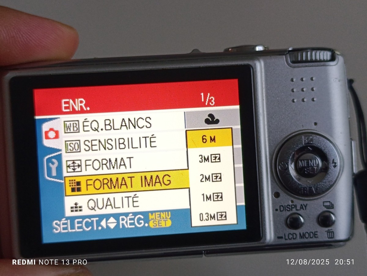 Panasonic LUMIX DMC-FX01 6 MP Digital Compact Camera | eBay