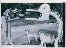 News Mrs John H Reid'S Husband Made Dragon Mailbox Planter Crafts Photo 8x10