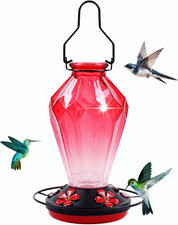 Glass Hummingbird Feeder 25oz, Outdoor Hanging Nectar Feeder w/ 5 Ports  Perch