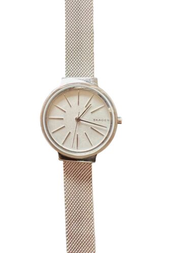 Skagen SKW2478 Silver Tone Steel Mesh Classic Women's Watch #G-4 - Picture 2 of 7