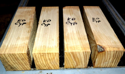 FOUR (4) KILN DRIED BALD CYPRESS LATHE BLANKS TURNING LUMBER WOOD 3'' X 3'' X 12''
