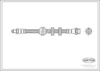 Corteco 19026487 Bremsschlauch Vorne 340 Mm FüR Ford