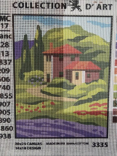 Collection D Art Printed needlepoint tapestry   20x25 Cm  Canvas Only