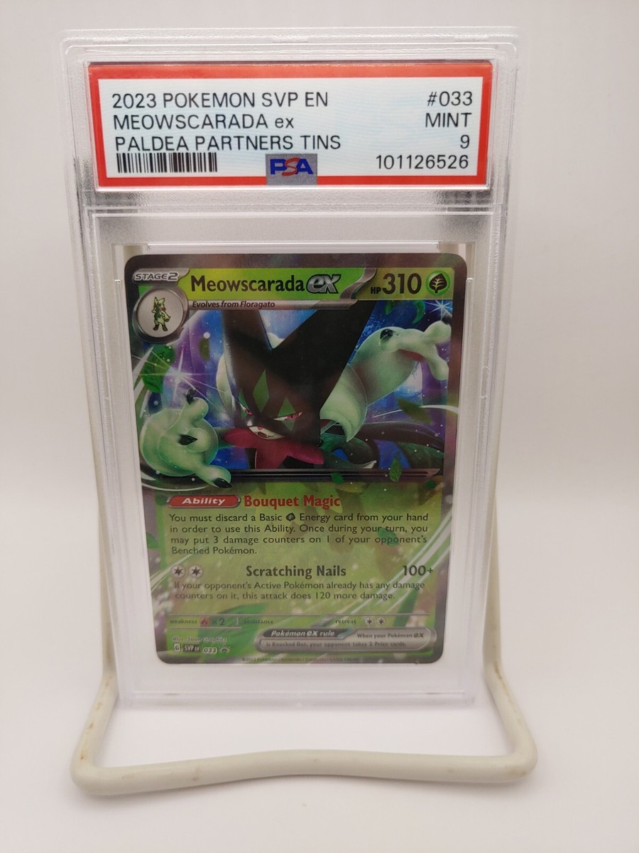 ポケモンカードダス　3点　セット　希少 レア　エラーカード Pokémon ポケモンカードダス 3点 セット 希少 レア エラーカード Pokémon