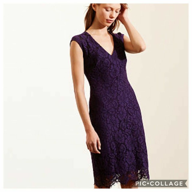 lauren ralph lauren lace sheath dress