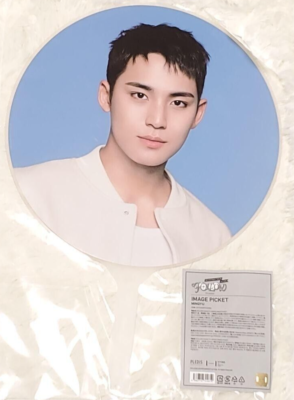 SEVENTEEN Mingyu Follow Again Japan Image Picket Paper Fun UNUSED