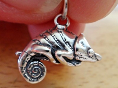 Sterling Silber 3D 15x18mm Massiv Schwer Eidechse Chamäleon Charm!