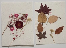 Pressed Dried Flowers Leaves for Scrapbooking Crafts Pink Neutrals -C