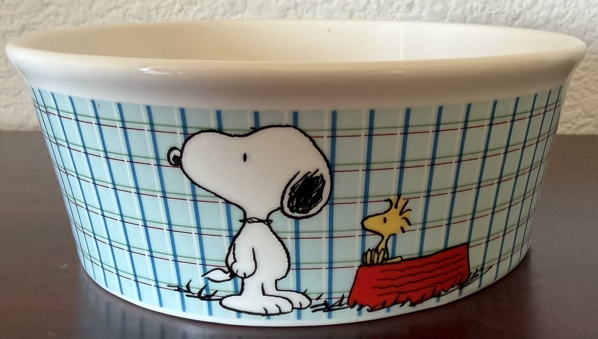 Peanuts Snoopy & Woodstock ALL GONE Dog Cat Size 5