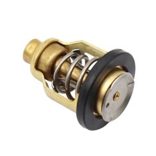 60V1241100 Termostato 50C 122F Compatibile con Motori Marini 4 Tempi F115 LF115