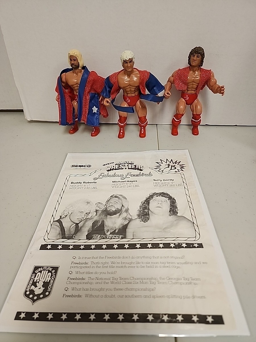 Vintage 1985 Remco AWA The Fabulous Freebirds W/ Interview