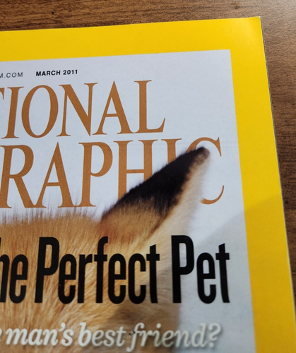 National Geographic Vol. 219 No. 3 Designing The Perfect Pet Magazine March 2011 - Picture 6 of 8