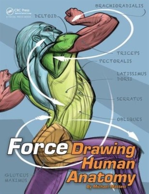 FORCE DRAWING HUMAN ANATOMY von Mike Mattesi (Taschenbuch) (9780415733977)