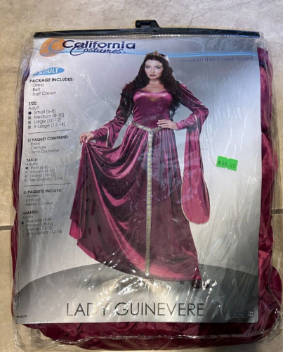 Renaissance Lady Guinevere Dress Robe California Costume Set NEW Womens Small S - 第 1/2 張圖片