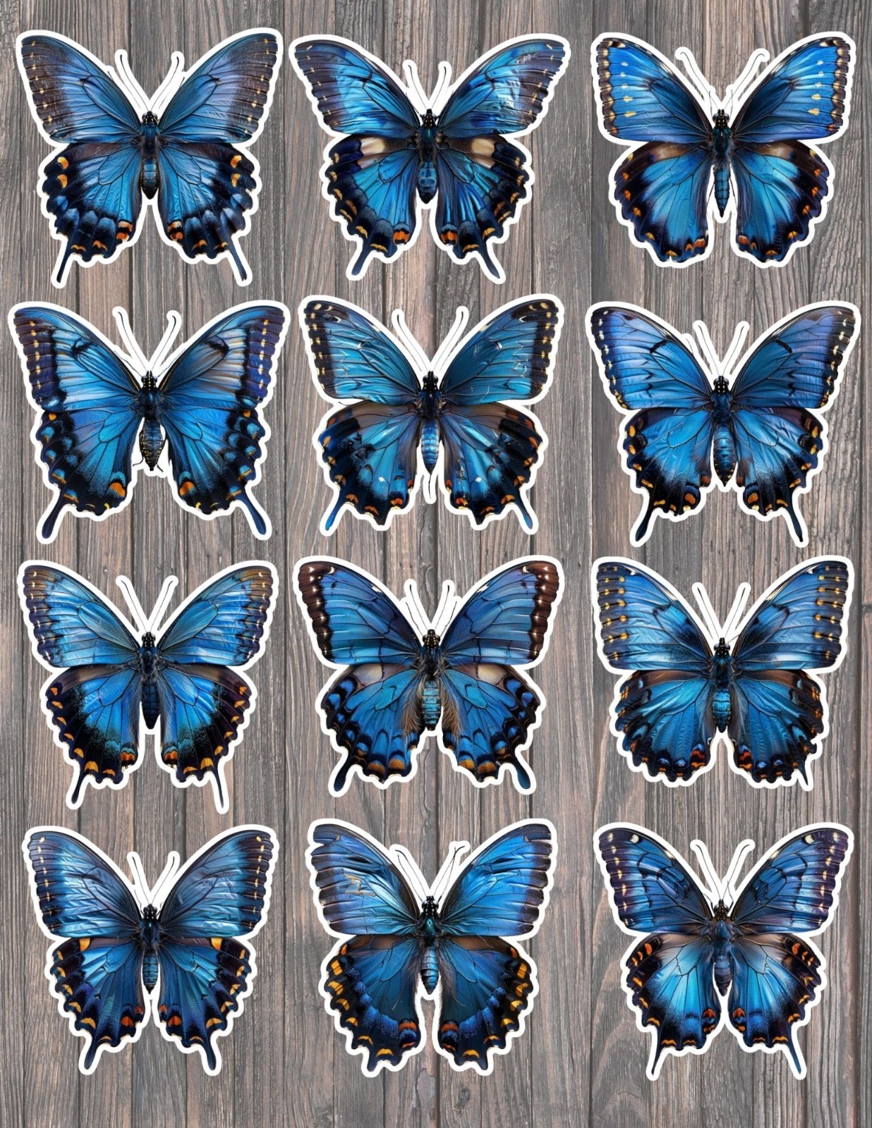 Giant Blue Butterfly Die Cut Vinyl Stickers Scrapbooking Lap