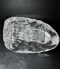 Foto 4 di 4