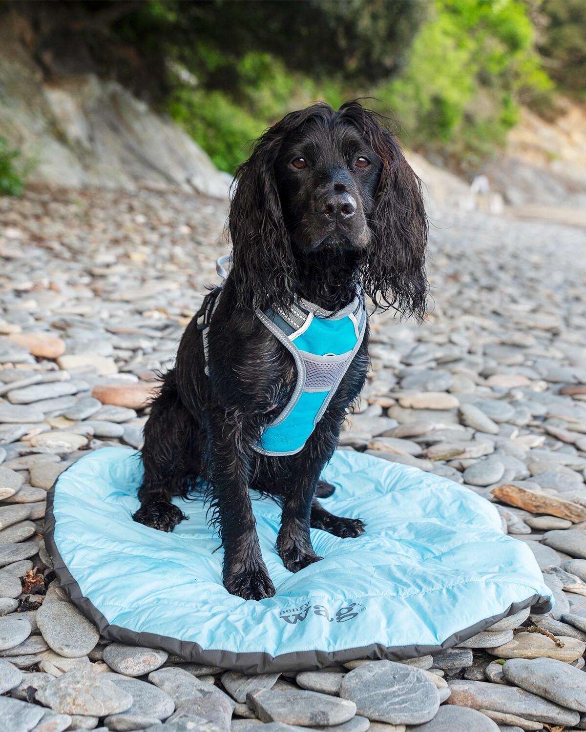 Henry Wag Alpine Travel Snuggle Bed