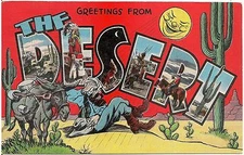 Greetings From The Desert Large Letter Linen Postcard 1943