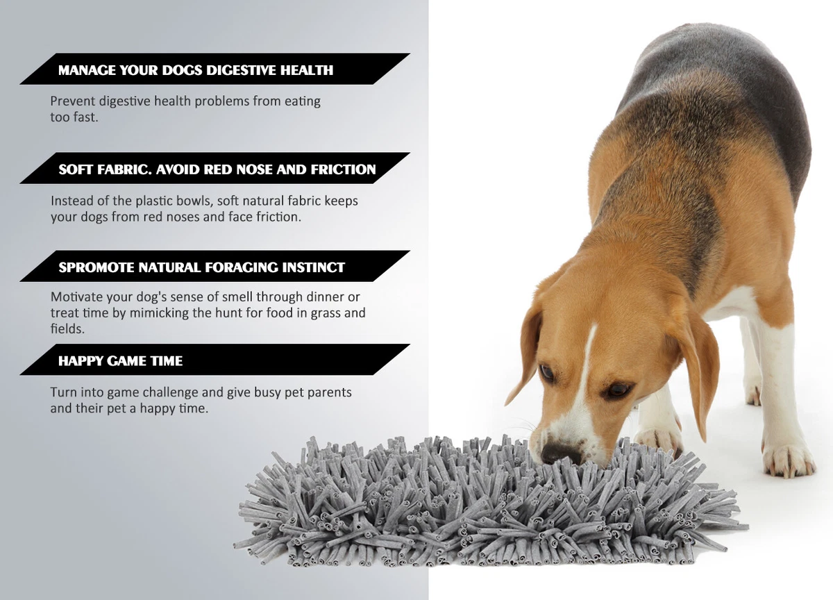 Best snuffle mats for dogs: to encourage natural foraging instincts