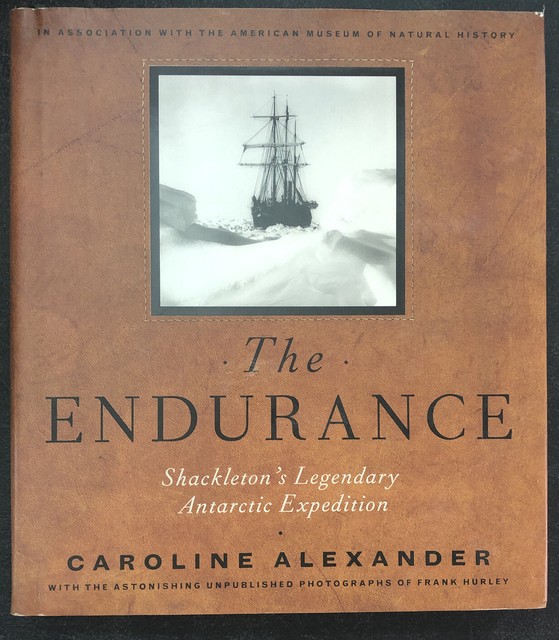 the endurance shackleton the endurance shackleton