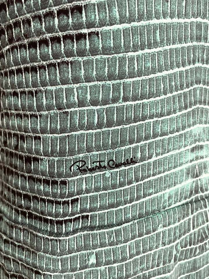 Vestido Roberto Cavalli Vintage Piel Lagarto Patrón en Azul Turquesa - Talla S Foto 4 de 4