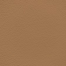 Audi Nutmeg Leather Dye