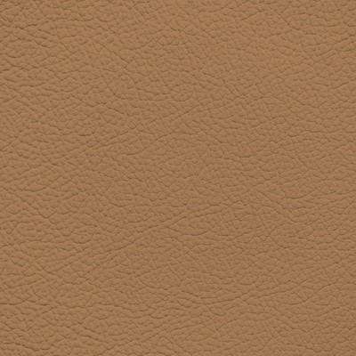 Audi Nutmeg Leather Dye